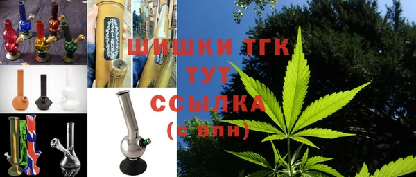 ешки Аркадак