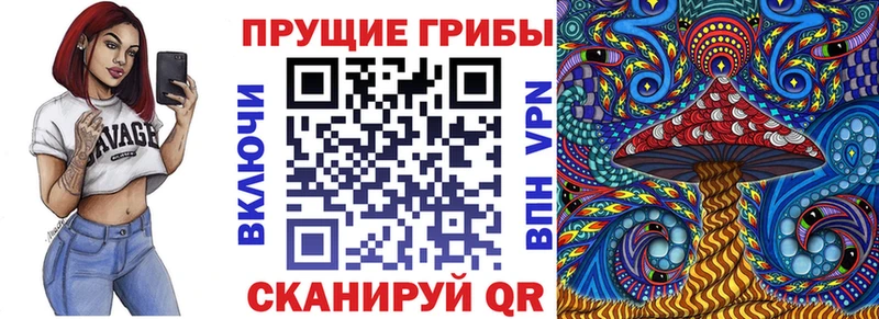 даркнет сайт  Елабуга  Галлюциногенные грибы Psilocybine cubensis 