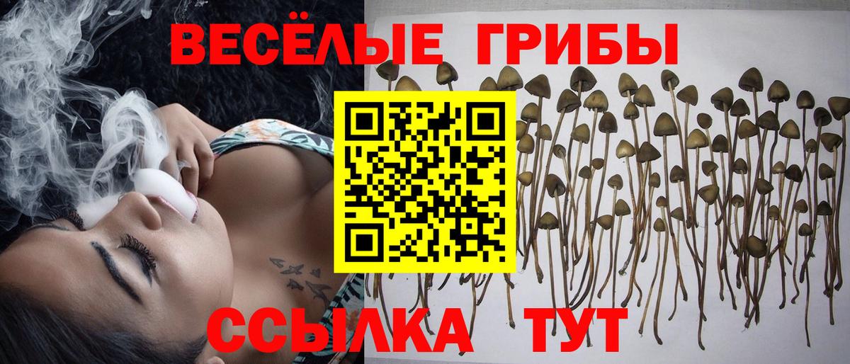 Елабуга  купить   Вход с VPN  Галлюциногенные грибы Magic Shrooms 