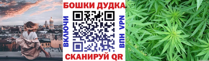 Шишки марихуана гибрид купить наркоту Елабуга